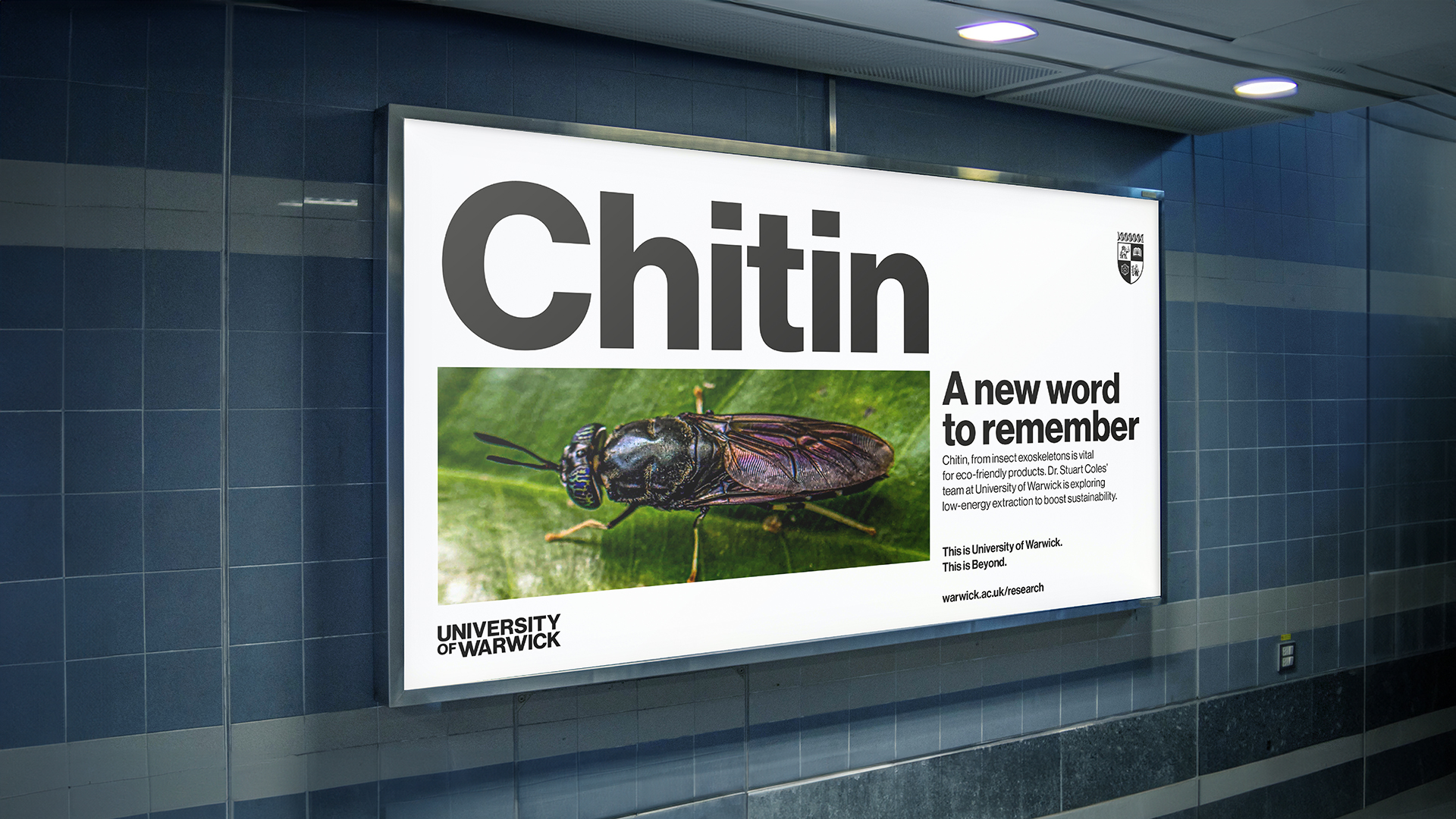 Billboard advert featuring image of bug and words 'Chitin, a new word to remember'