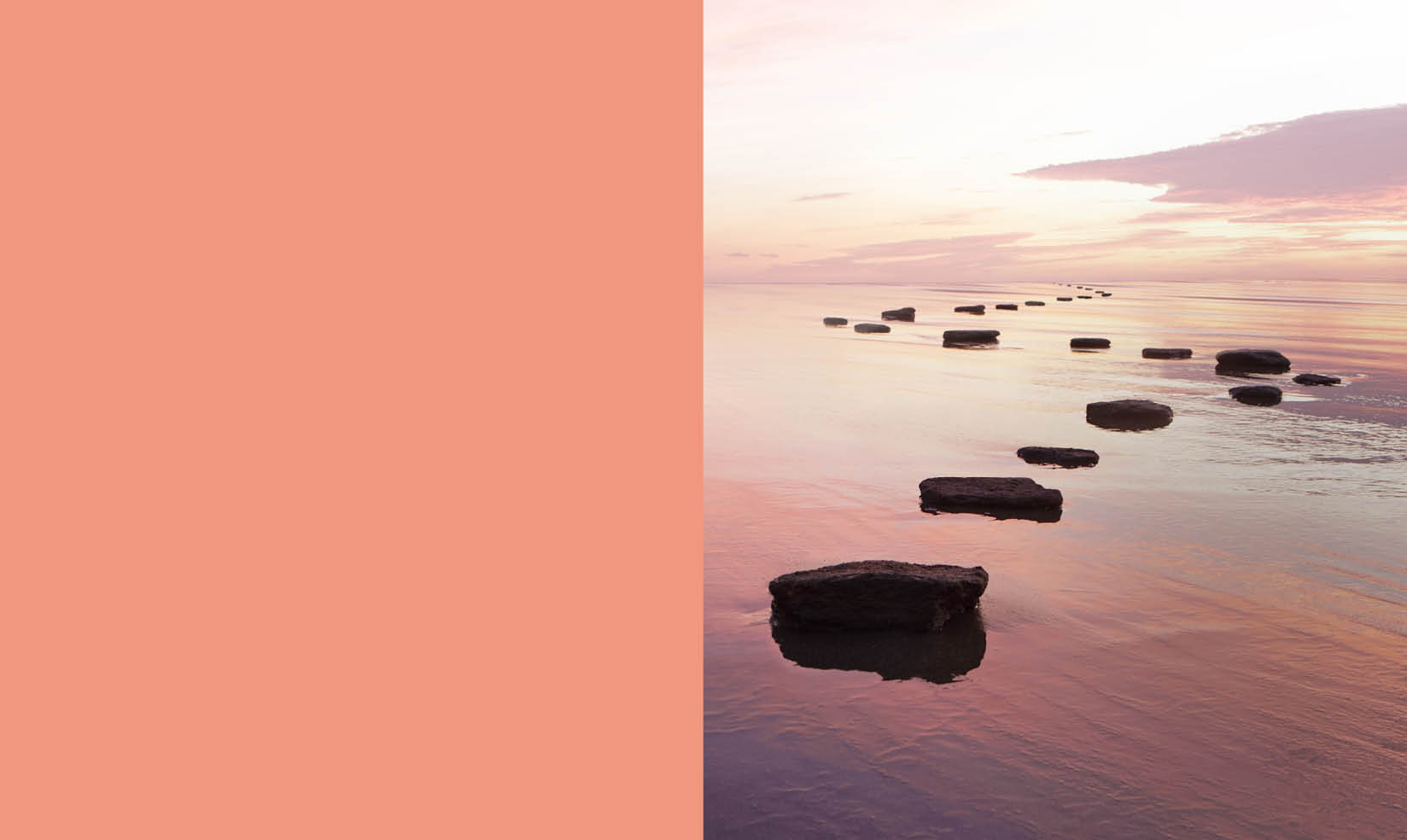 Visual that contains a Coral background to the left and an image that has a Coral hues to the right.