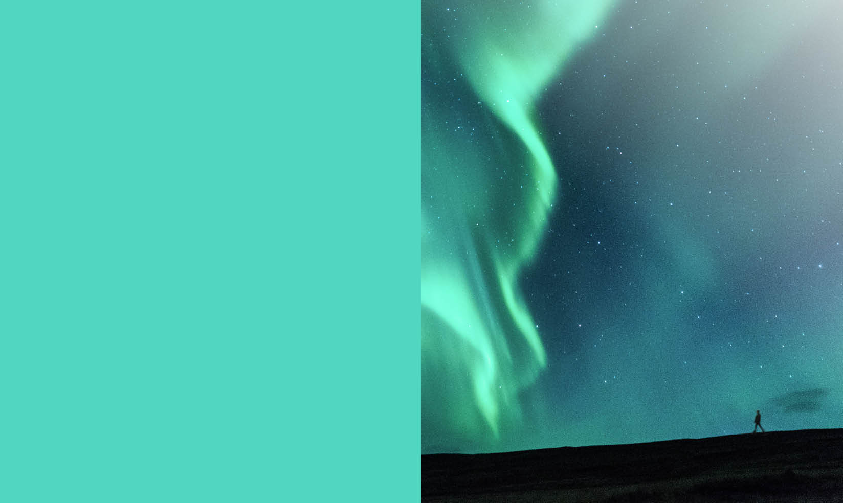 Visual that contains a Green background to the left and an image that has a Green hues to the right.