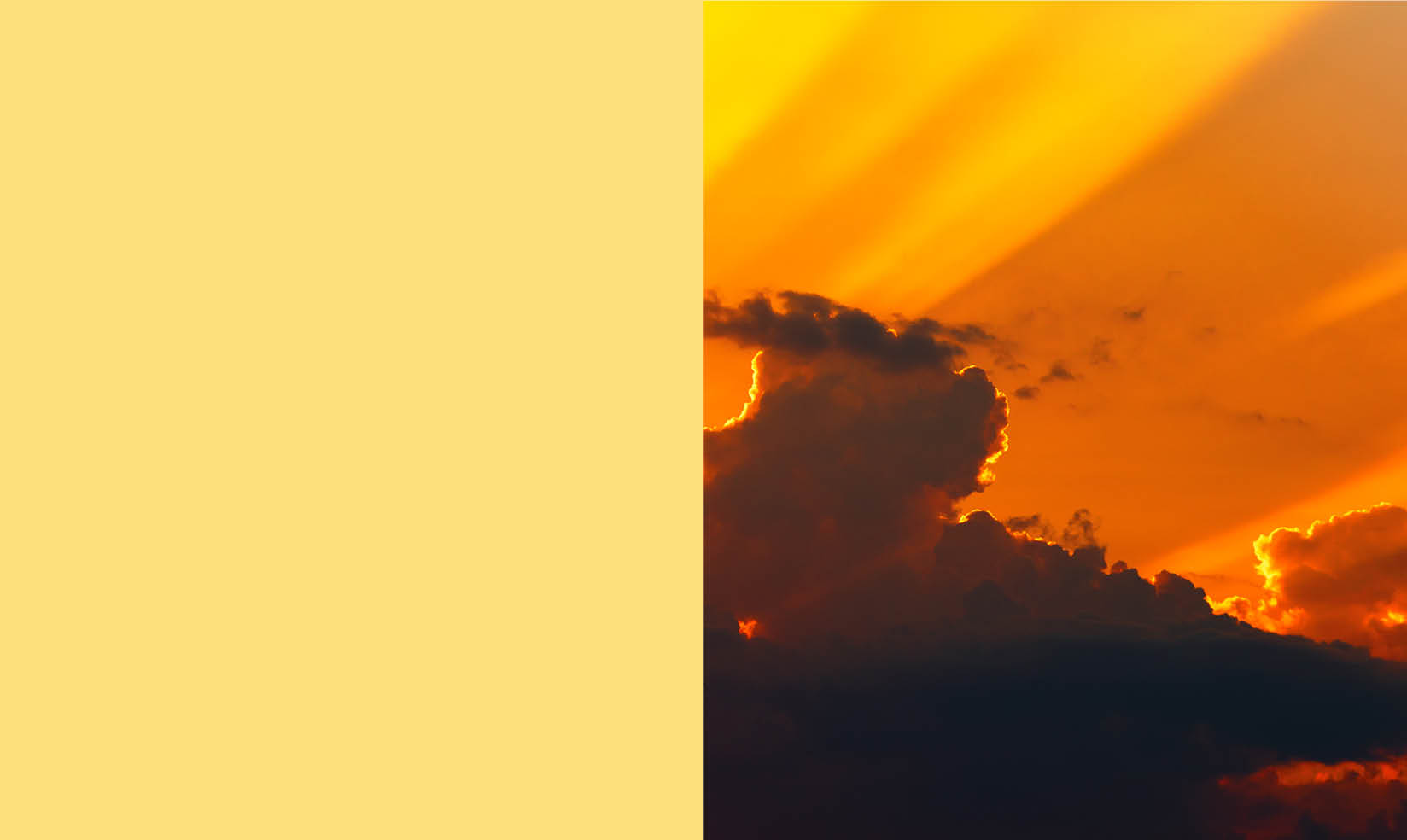 Visual that contains a Yellow background to the left and an image that has a Yellow hues to the right.
