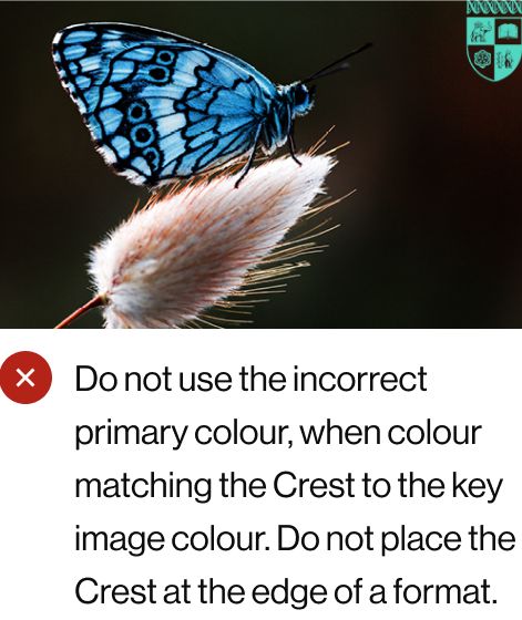 Do not use the incorrect primary colour, when colour matching the Crest to the key image colour. Do not place the Crest at the edge of a format.
