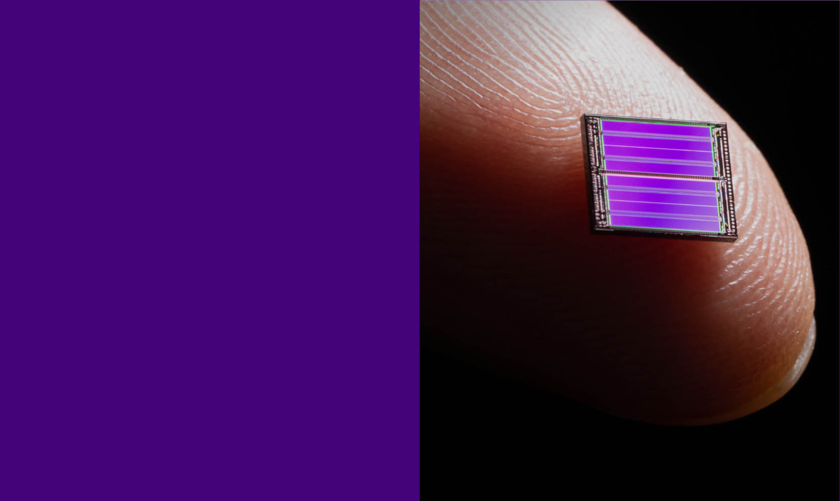 Visual that contains a purple background to the left and an image that has a purple hues to the right.