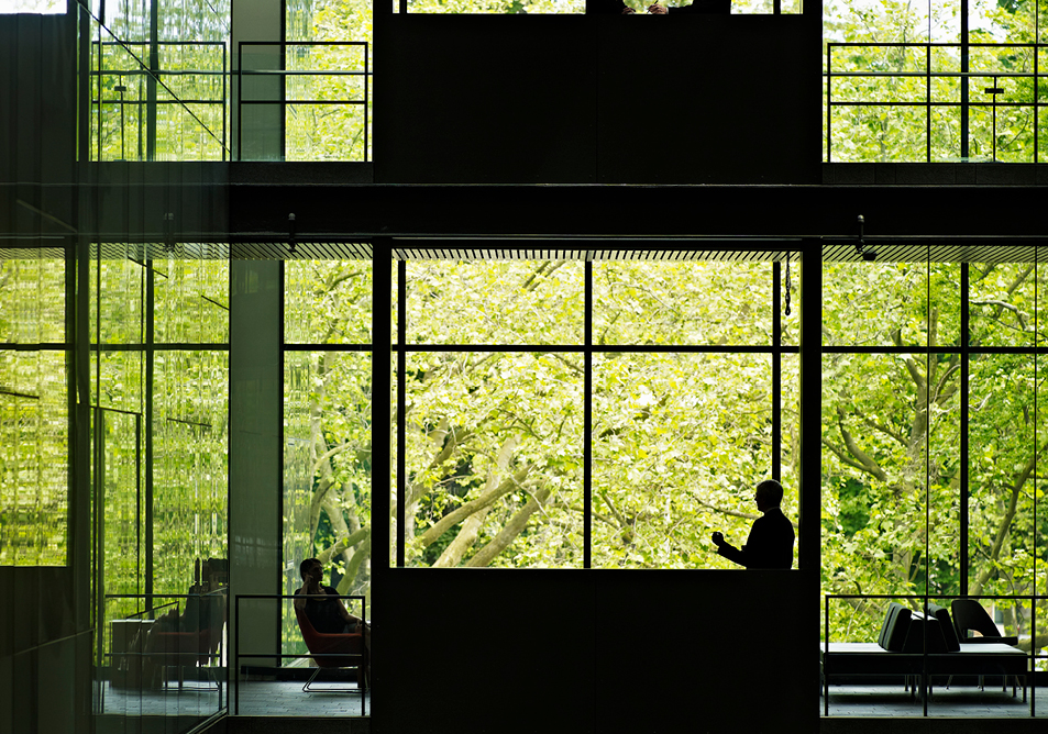 Figures and furniture silhouetted against a large window with trees outside