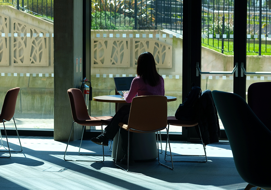 A student is working on a laptop with their back to us, they are silhouetted against a large window and the colours of the outside space take prominence