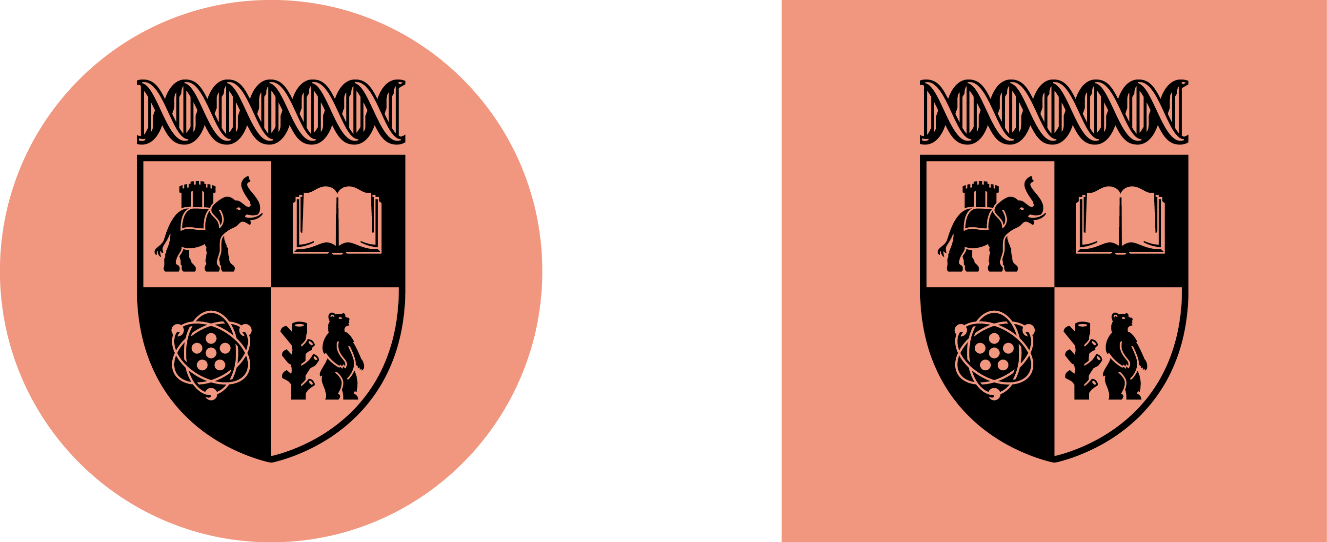 The new modernised crest shown twice on a coral background the first is round the second is a square