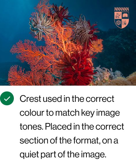 Crest used in the correct colour to match key image tones. Placed in the correct section of the format, on a quiet part of the image.